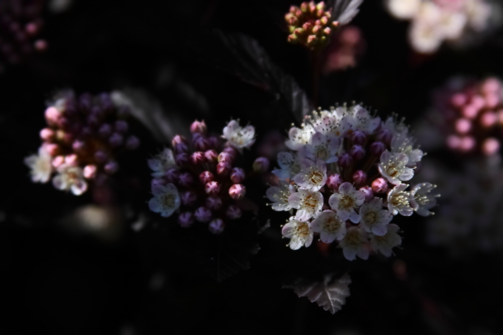 2012 05 17 2902